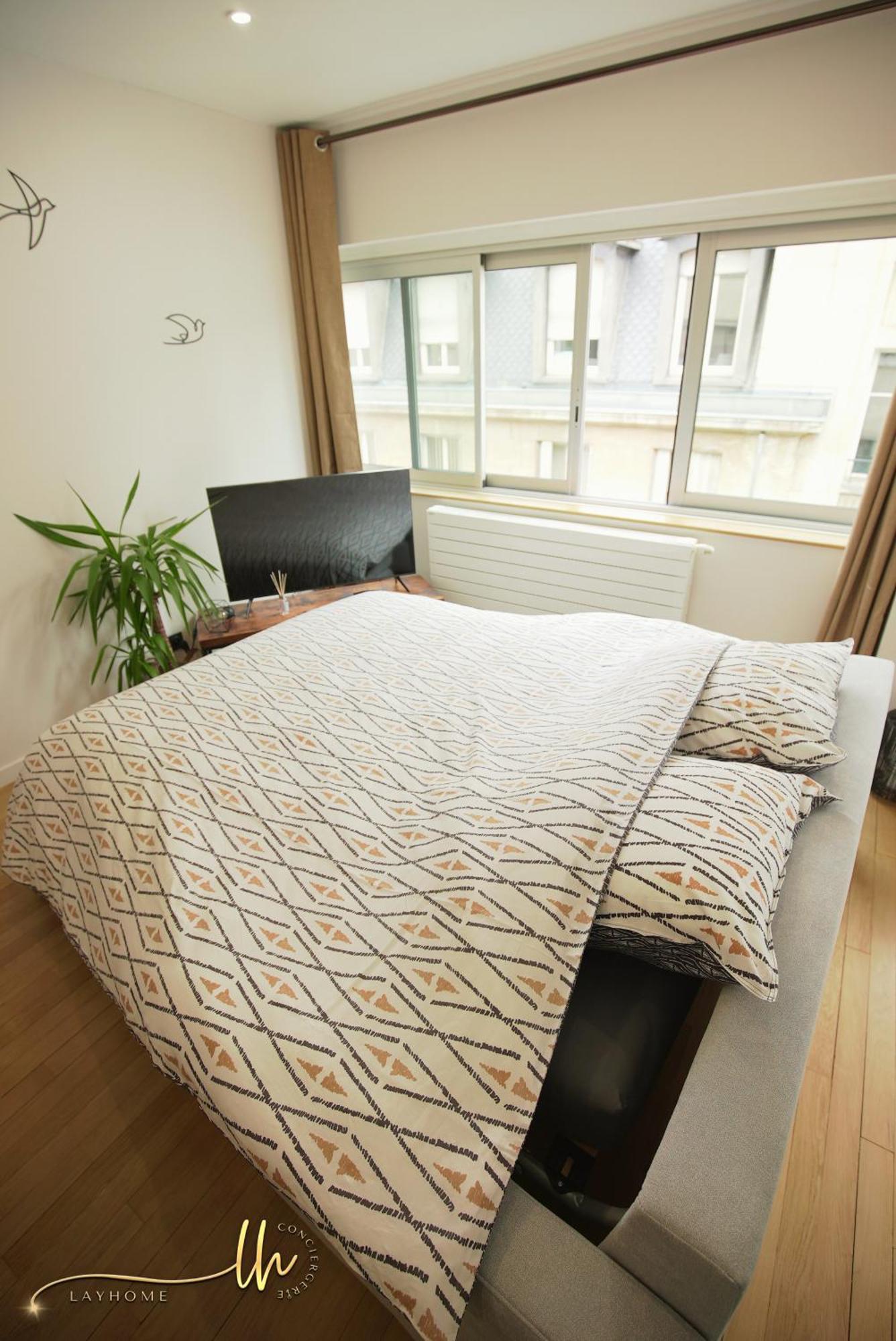 Chaleureux, Lumineux Et Confortable F2 Renove En Plein Coeur De Нанси Екстериор снимка